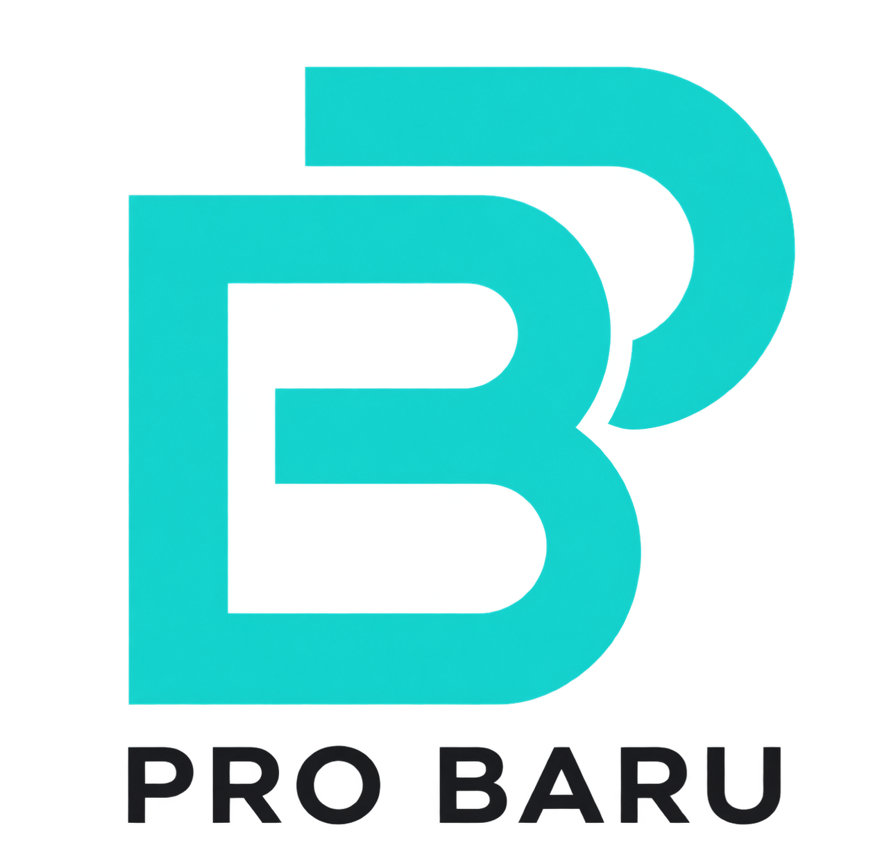 Pro Baru